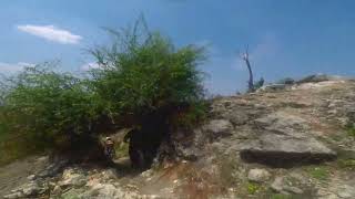 Rock Hill MTB Downhill [upl. by Nekial]