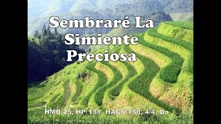 025 Sembrare la simiente preciosa  pista  letras  karaoke [upl. by Gannon]