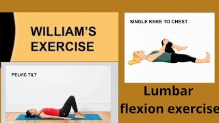 WILLIAMS EXERCISE 📕 For Low back pain  Flexion exercise [upl. by Coppinger]