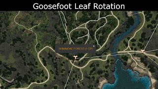 Goosefoot Leaf Rotation In Shimnidae Forest [upl. by Diraj273]