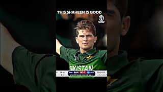 Where is SHAHEEN SHAH AFRIDI Fans [upl. by Shumway889]