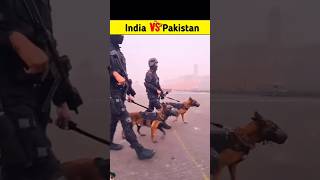 Indian army dog 🤯 facts ytshorts [upl. by Perren206]