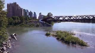 Peace bridge Calgary [upl. by Kieran]