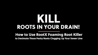 Get Rid of Sewer Line Roots amp Keep them Away [upl. by Mussman]