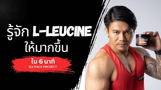 รู้จัก LLeucine ให้มากขึ้นใน 6 นาที I SIX PACK PROJECT [upl. by Nanreik]