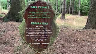 Prvotřídní turistika v lese 🌲 [upl. by Xeno338]