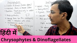 Kingdom Protista  Chrysophytes and Dinoflagellates in Hindi [upl. by Charmion]