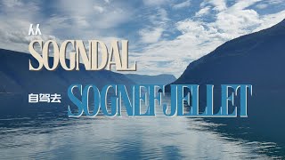 挪威第四篇：从Sogndal自驾到Sognefjellet [upl. by Sueddaht6]