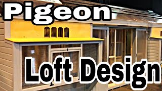 Best Pigeon Loft  Pigeon Loft Design  Racing Pigeon Loft  Dream Loft  Pigeon Loft [upl. by Brieta]