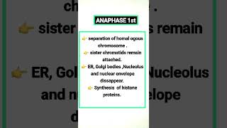 anaphase biology [upl. by Miza]