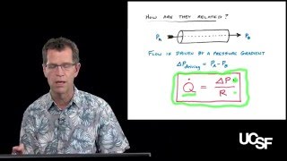 David Morgan PhD The Cardiac Cycle Part 1 Physical Principles [upl. by Nnylesor]