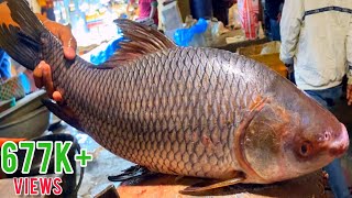 Fish Cutting Skills  Live Rohu Fish Cutting Skills In Fish Market [upl. by Yeslaehc770]