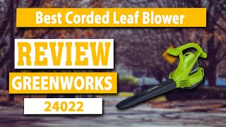 Greenworks 24022 2 Speed 230 MPH Electric Leaf BlowerVacuum Review  Best Corded Leaf Blower 2021 [upl. by Keith]