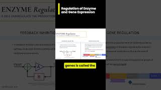 Regulation of Enzyme and Gene Expression [upl. by Puett]