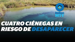 El agua de Cuatro Ciénegas podría extinguirse  Reporte Indigo [upl. by Ellenwahs324]