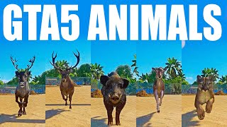 Wild Animals of GTA5 Speed Race in Planet Zoo included Wild Boar Cougar Deer [upl. by Venezia]