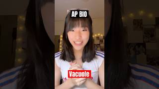 AP Bio Part 26 Vacuole🧫 apbio apbiology biology science cellbiology cell biochemistry [upl. by Lorilyn]