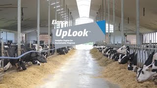 UpLook™ – Elanco Knowledge Solutions [upl. by Bobseine]