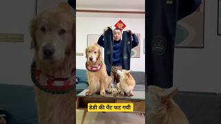 डेडी की फट गयी पेंट 🐕 mini wood toy  woodworking art skills  hand crafts shorts pets [upl. by Ardnasyl170]