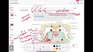 cavernous sinus ophthalmology 32 First Aid USMLE Step 1 in UrduHindi [upl. by Grogan216]