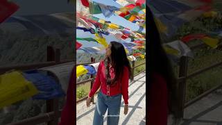 Sheher me  hu Mai tere  himachal india solotravel manali travel [upl. by Ylrebmik449]