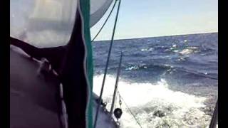 Solo Sailing my Sadler 32 Samingo ll [upl. by Bush]