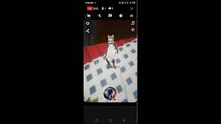 Cat 😺 funny 🤣 viral video 📸 trinding 😍 short 🙏 cat dance cute cat sad cat dance meme cat 😺 shorts [upl. by Osher]