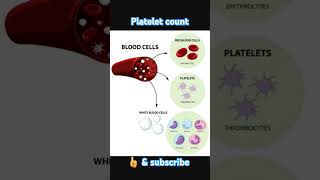 Normal range of platelet count science body human anatomy physiology [upl. by Mcgannon775]