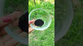 💯Powerful Fenugreek And Black Seeds Hair Growth Tonic shorts haircare hairgrowth longhairviral [upl. by Lang29]