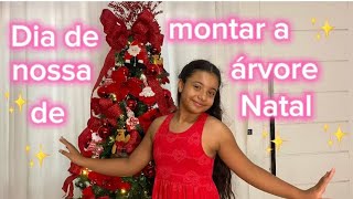 Vamos montar minha árvore de Natal comigo 🎄🎁 [upl. by Ateval791]