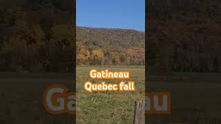 see the fall colors in the Gatineau Quebec mountain today beautiful montrealtourism quebeccite [upl. by Eifos]