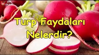 Turp Faydaları Nelerdir [upl. by Engracia]