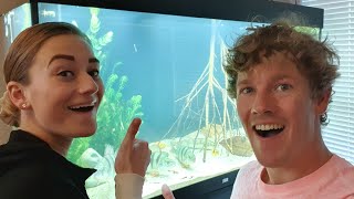 WE STARTEN EEN SLOOTWATER AQUARIUM DROOM KOMT UIT [upl. by Pardner]