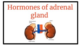 Hormones of Adrenal gland  Hormonal or Endocrine system [upl. by Enaled]