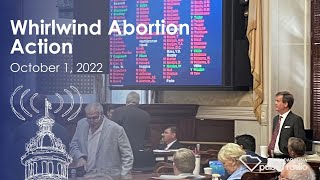 Whirlwind AbortionAction  South Carolina Lede [upl. by Ellerehs]