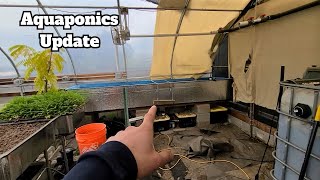 Aquaponic system update gardening aquaponics [upl. by Weig695]