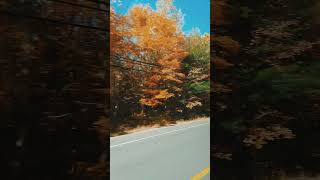 🎪 On The Way To Outing To Huntsville ♨️ Enjoyable Moments  vlog yt outing viralvideo [upl. by Afrika]