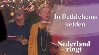 In Bethlehems velden  Nederland Zingt [upl. by Naellij]