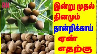 Thandrikkai  Belleric இன்று முதல் தினமும் தான்றிக்காய் ஏன் எதற்கு [upl. by Carlene]