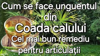 Coada calului  Cel mai puternic remediu pentru articulații oaseosteoporozaligamente [upl. by Lurette109]