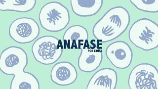 Anafase [upl. by Ratep549]