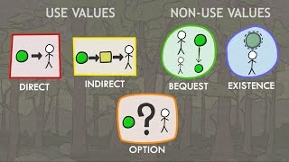 Valuation of Ecosystem Services Classes of Values [upl. by Garbe767]