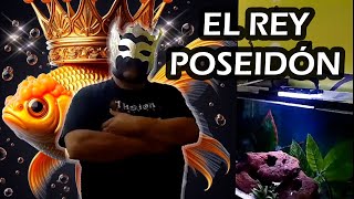 Acuaristas de México vs Poseidón ¿Quién es el Verdadero Rey [upl. by Nugent16]