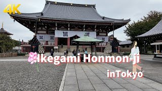 【4K】Walking Ikegami Honmonji池上本門寺  Tokyo Japan [upl. by Refynnej]