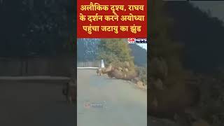 अयोध्या में दिखा अलौकिक दृश्य rammandir ayodhya jatayu shorts viralvideo [upl. by Aicnetroh]