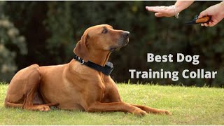 Top 10 Best Dog Training Collar [upl. by Silra]