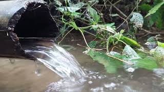 The Sound of Natural Flowing Water [upl. by Corenda92]