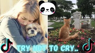 Try Not To Cry Reaction  TikTok Pet Compilation  I Wanna Feel Again TikTok Compilation [upl. by Aneladdam136]