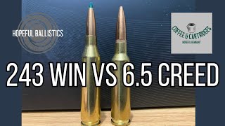 243 Winchester vs 65 Creedmoor [upl. by Amero175]