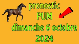 ✅ pronostic PMU  Réunion 1 cours 5  🔥🔥🔥🔥🔥🔥 [upl. by Aletsirc]